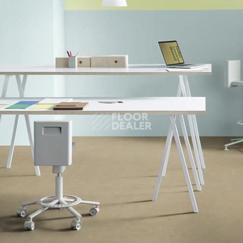 Forbo Marmoleum Decibel on Order 389035 oat фото 2 | FLOORDEALER
